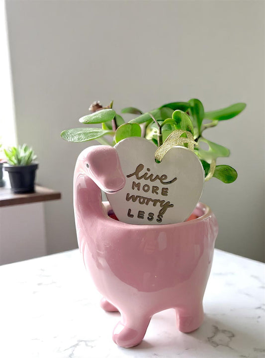 4 Ways to Live More and Worry Less